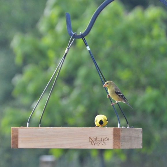 New Nature's WayvBird Feeding Tray - Picture 4 of 8